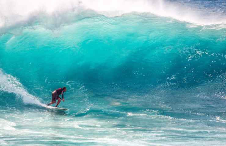 Surfista in difficoltà: il retroscena da brivido