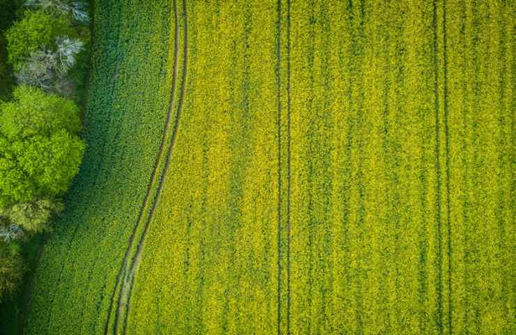 Scarico d'acqua nelle proprietà agricole: i dettagli e quello che dice la normativa