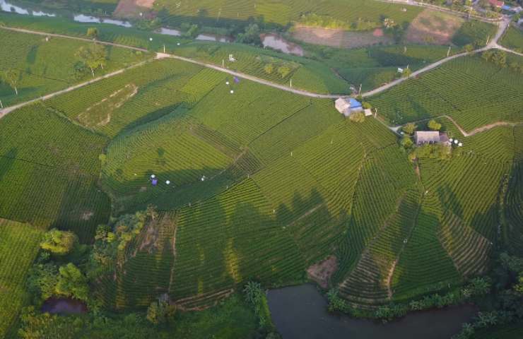 Terreno agricolo, i dettagli