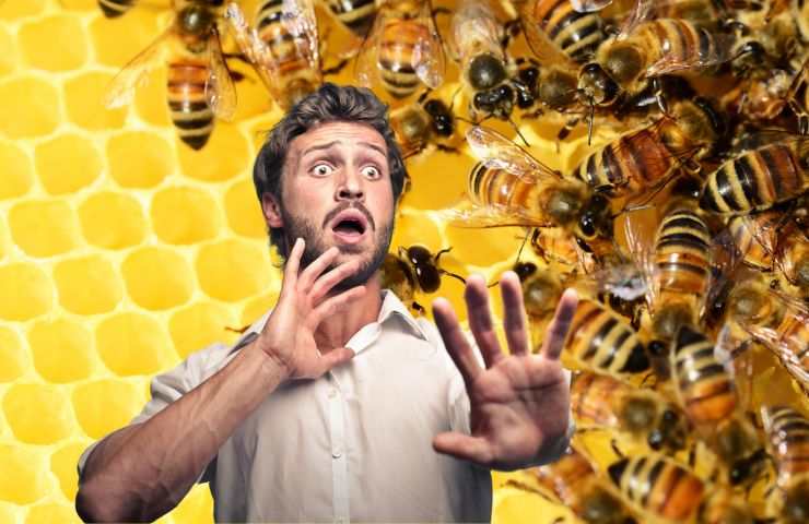 difesa attacco sciame api
