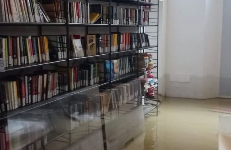 libri alluvione Emilia
