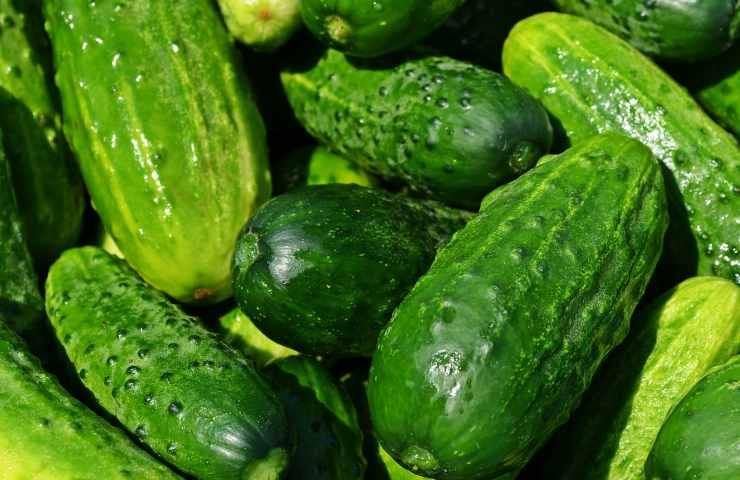 cetrioli e zucchine consumo pericoloso 