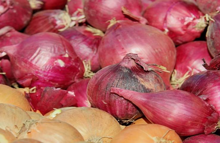 Concime liquido fatto in casa con bucce di cipolla