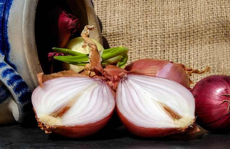 Concime liquido fatto in casa con bucce di cipolla