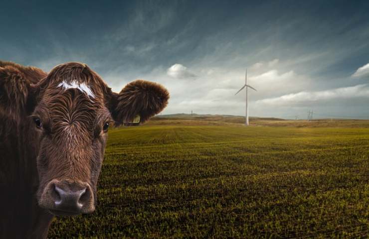 l'importanza dell'energia rinnovabile per l'allevamento e l'agricoltura