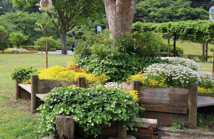 giardino con fiori e piante