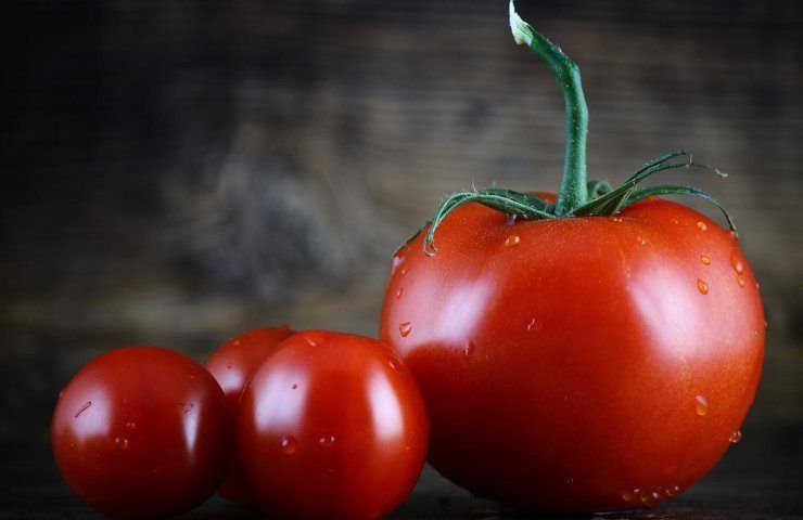 pomodori varie dimensioni 