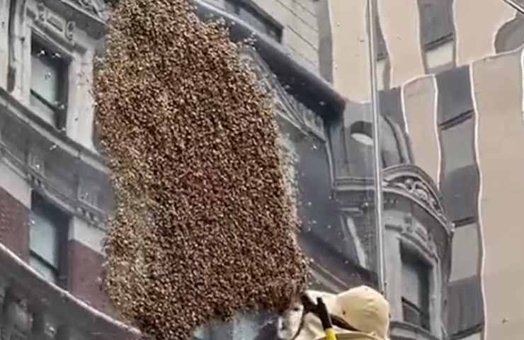 api Time Square causa 