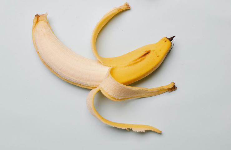 Banana: sta scomparendo, il motivo