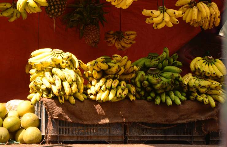Banane stanno scomparendo: il motivo