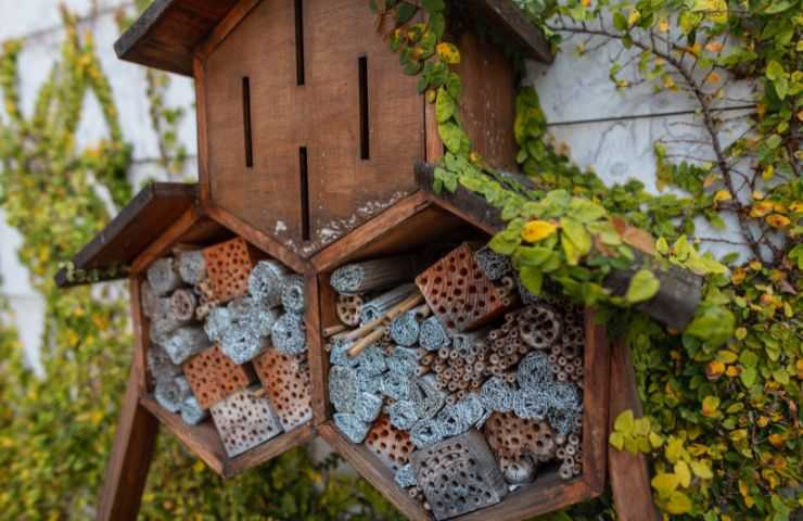 come difendersi nido api