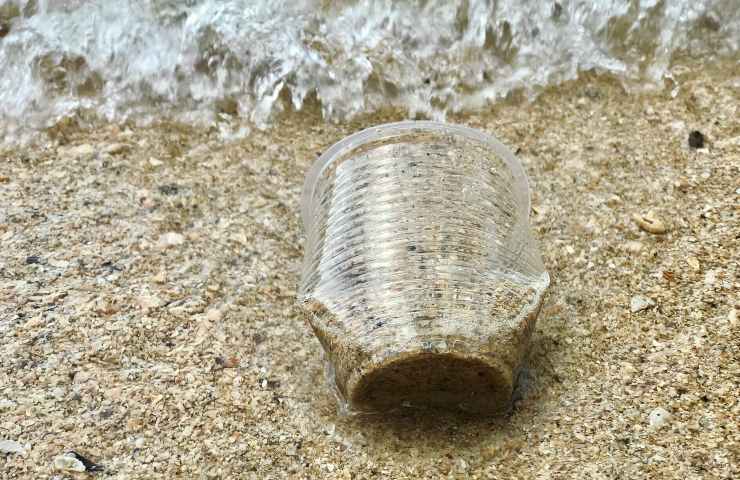 Bicchiere plastica abbandonato in spiaggia: le conseguenze 