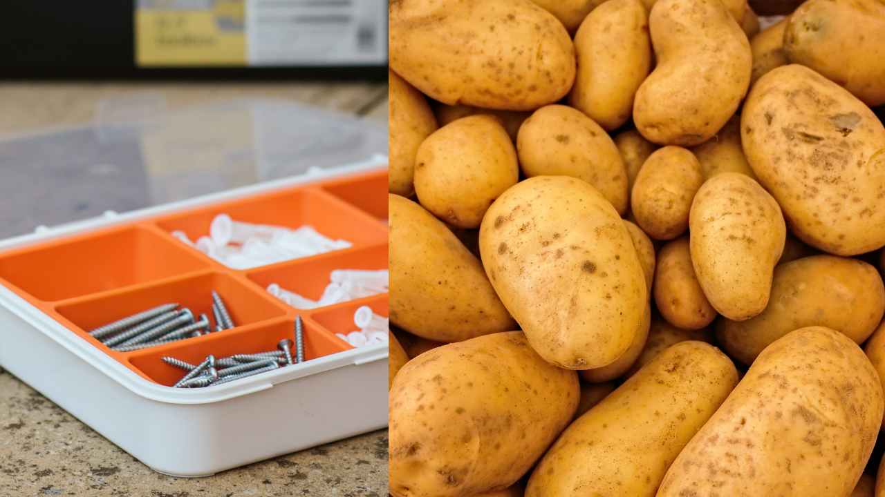 Chiodi e patate, la sperimentazione: di cosa si tratta
