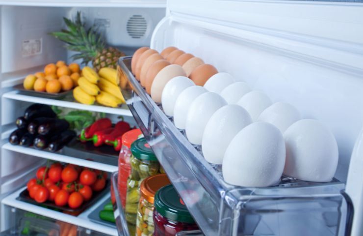 conservazione alimenti prima invenzione frigorifero