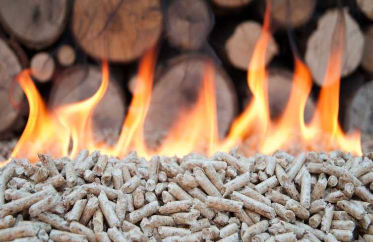 biomassa energia dettagli 