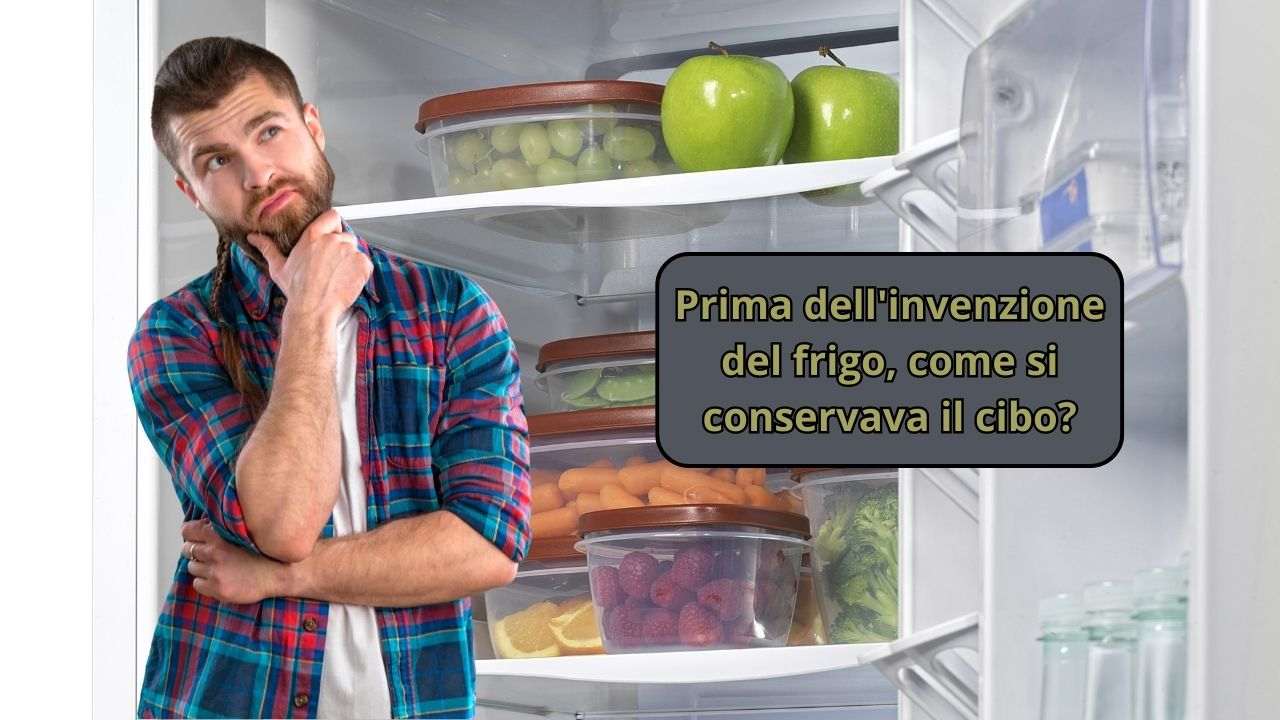 alimenti frigorifero conservazione