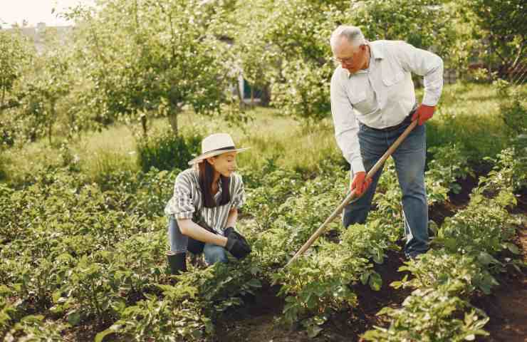 Giardinaggio benefici salute 