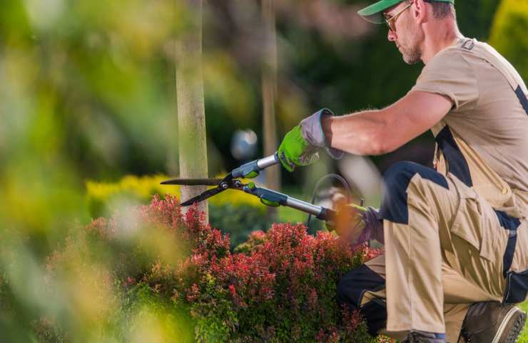 giardinaggio allenamento studio calorie 