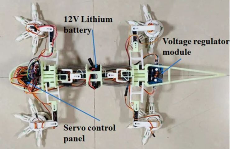 Lucertola robot ideata per esplorare Marte