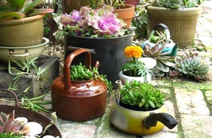 vecchie pentole vasi piante 