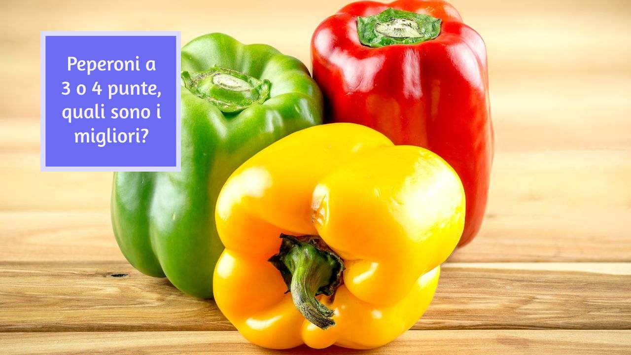 migliori peperoni punte