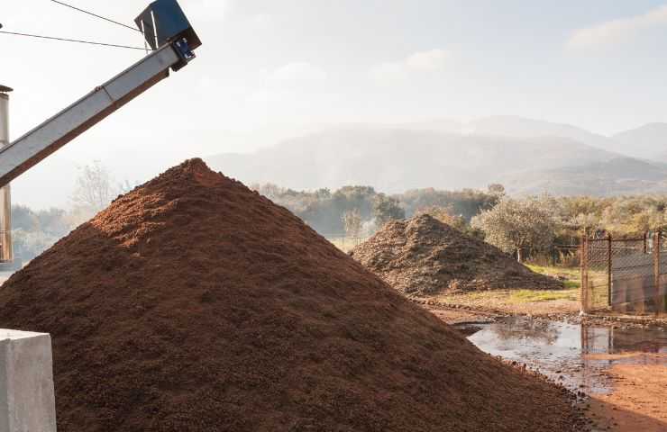 Scarti agricoli biomassa energia 