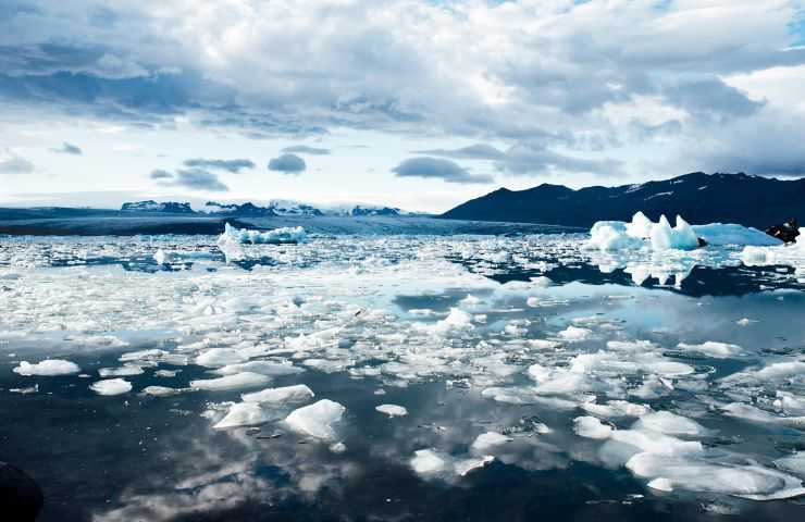 mare caldo esiti nefasti 