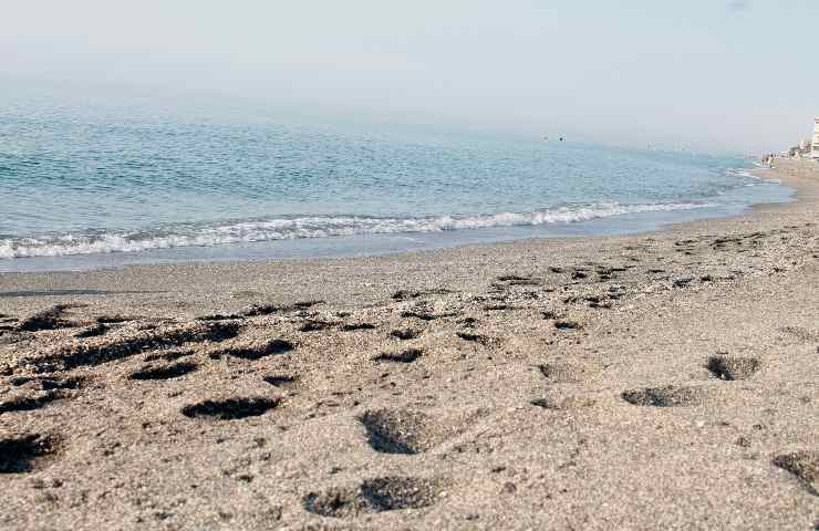 Spiaggia della California in pericolo
