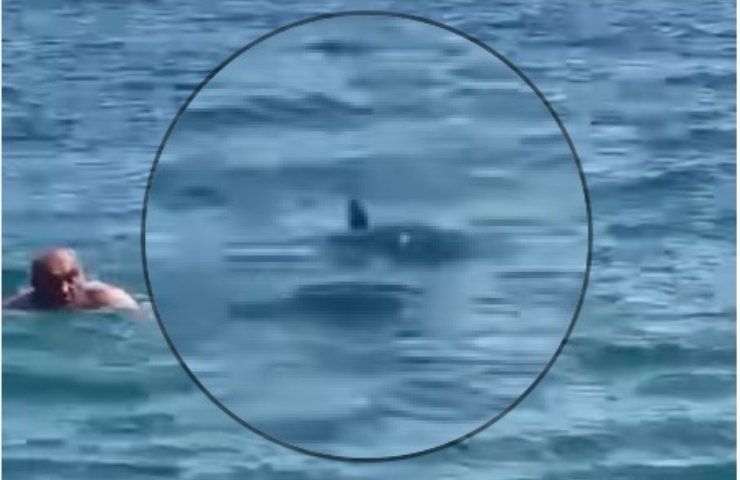 presenza squalo mare Sicilia 