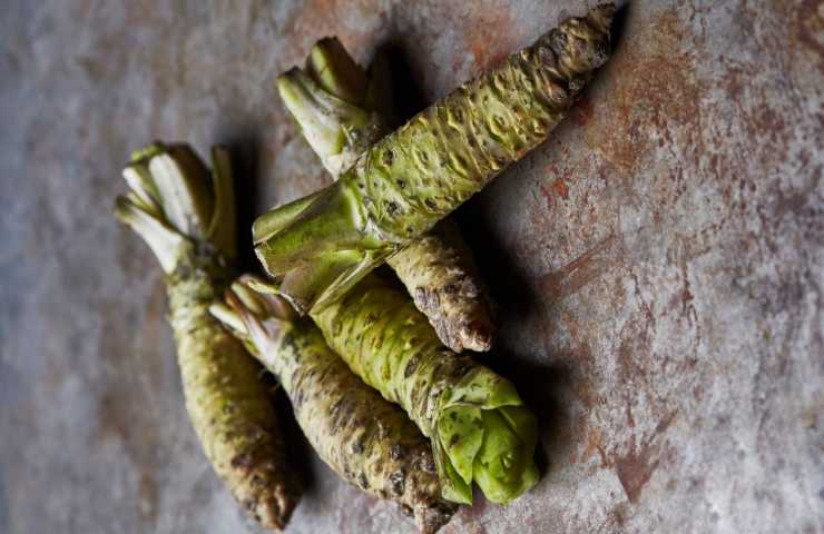 Wasabi cosa è 