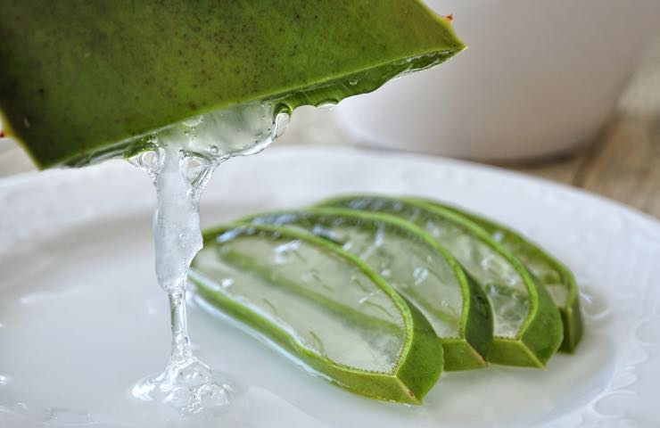 gel aloe vera come conservarlo