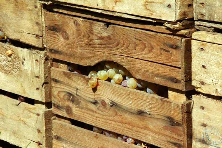 Riciclo degli imballaggi in legno, l'Italia supera ogni aspettativa