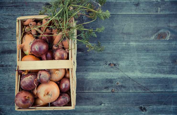 cipolle grandi trucco