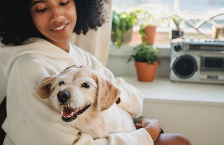 Che caldo! Come aiutare i nostri amici a 4 zampe a rinfrescarsi