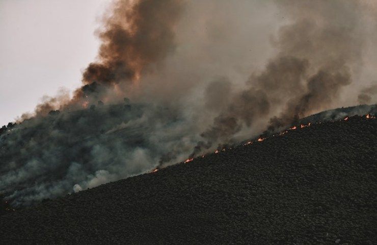 Cineambiente, cosa c'è da vedere fino all'11 giugno