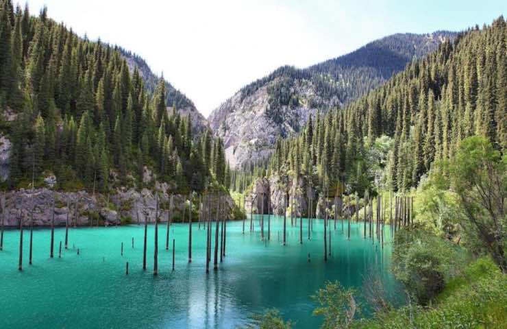 lago con foresta