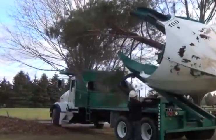 macchinario alberi spostamento