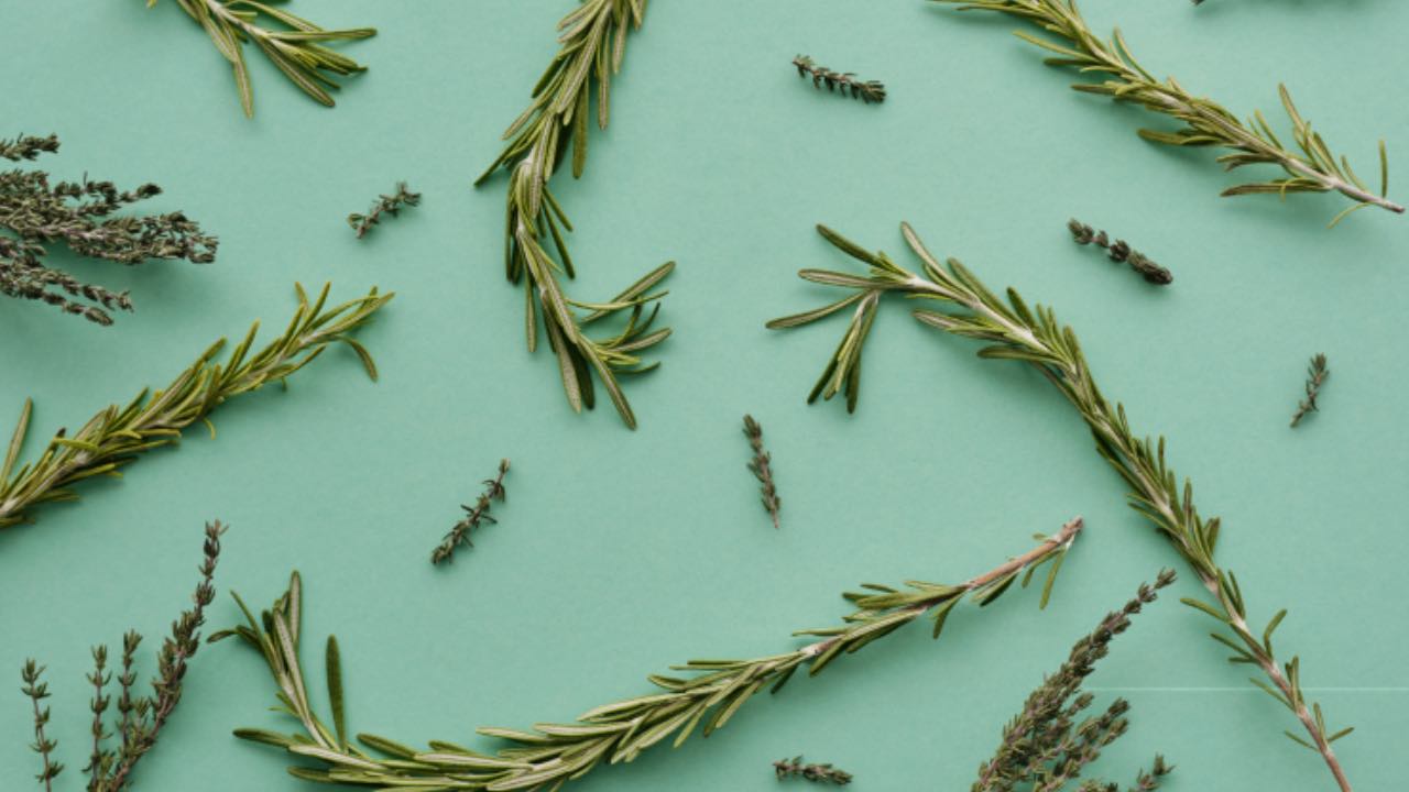 olio di rosmarino per capelli