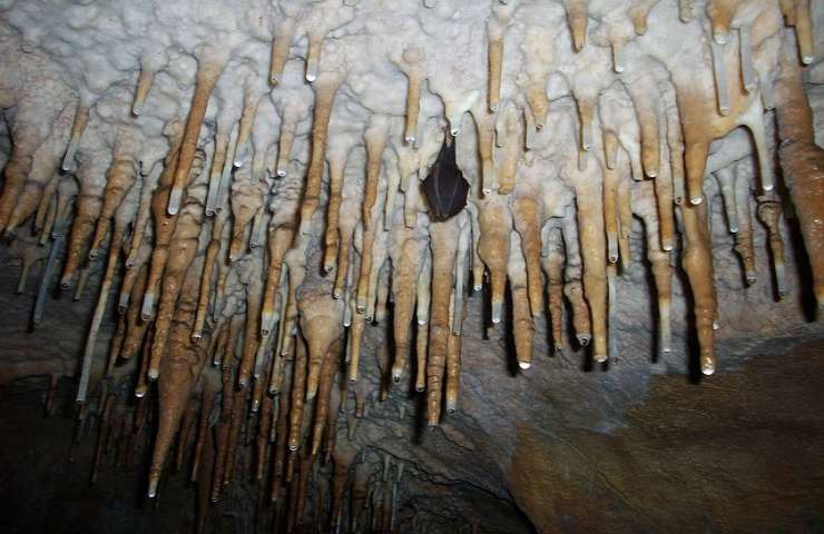 Stalattiti e stalagmiti, qual è la differenza