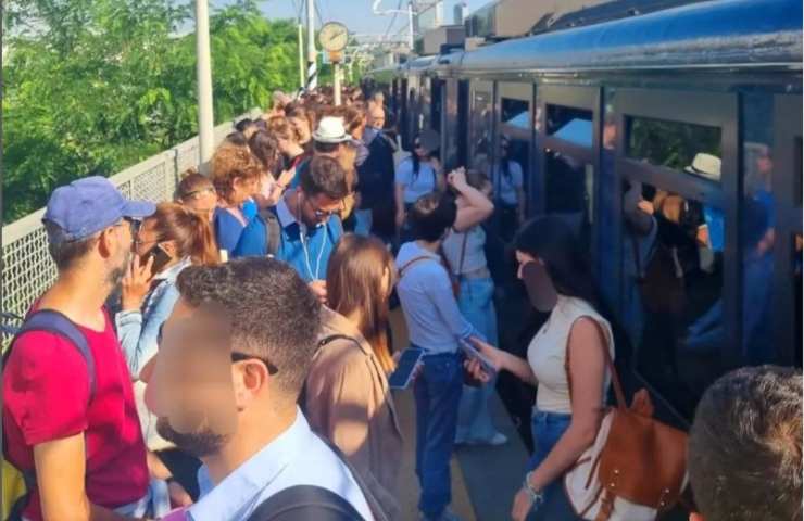 tartaruga marina treno Napoli 