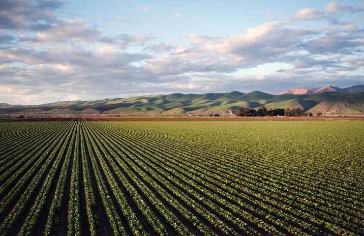 Agricoltura sostenibile: l'aggiornamento