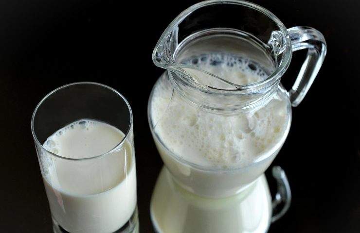 neonato latte 