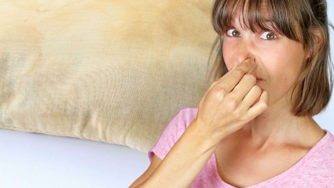 soluzione cattivi odori cuscini