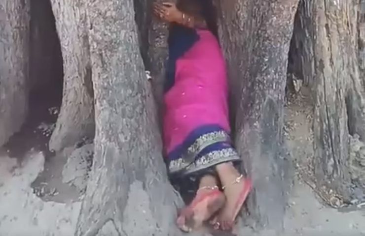 donna infila dentro albero