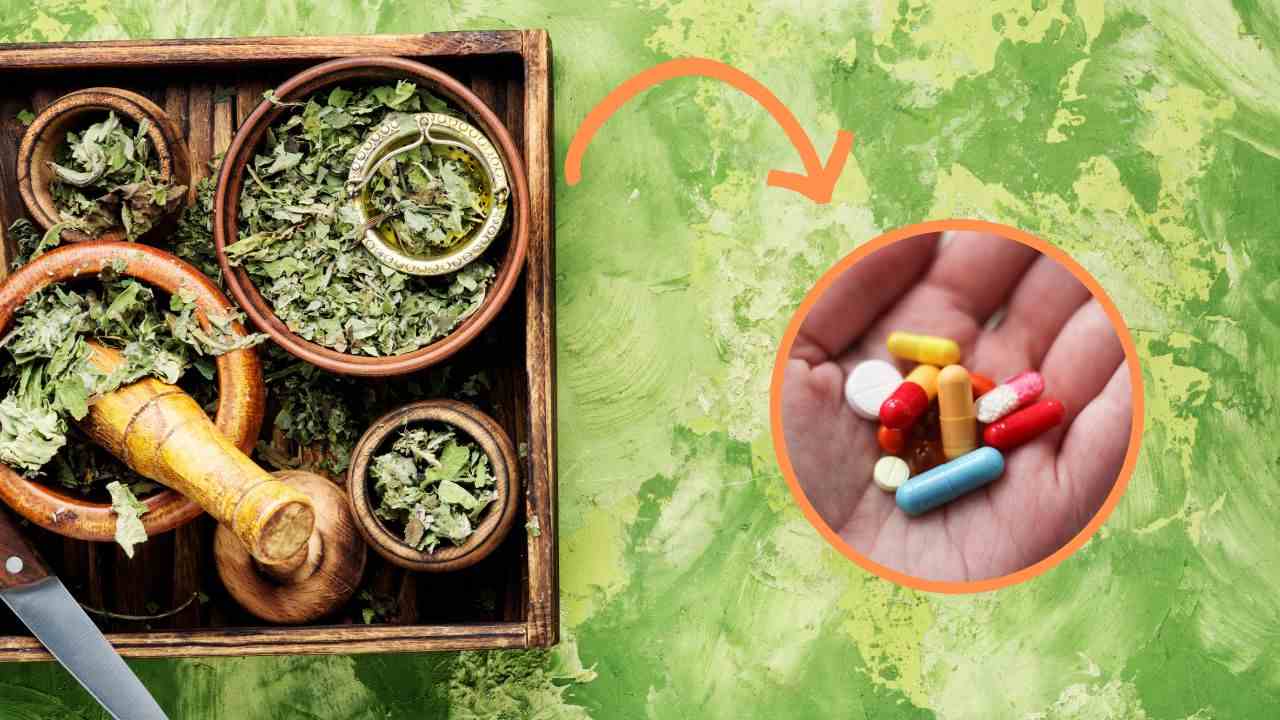 erbe interagiscono farmaci quali evitare