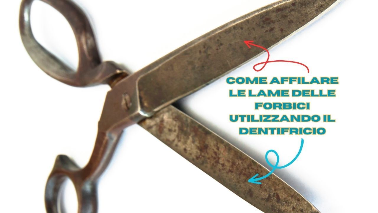affilare forbici dentifricio