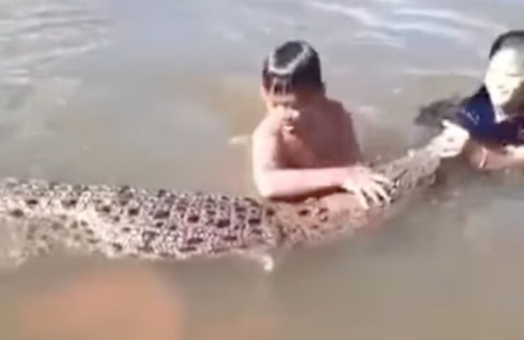 video alligatore gioca con ragazzini
