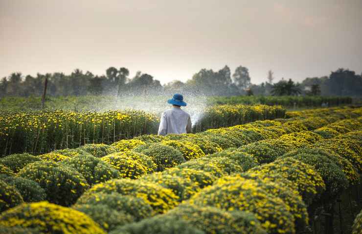 Lavoro agricolo: le novità