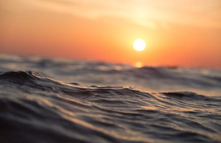 Le temperature sempre più alte nei mari: nel 2024 la situazione peggiora 