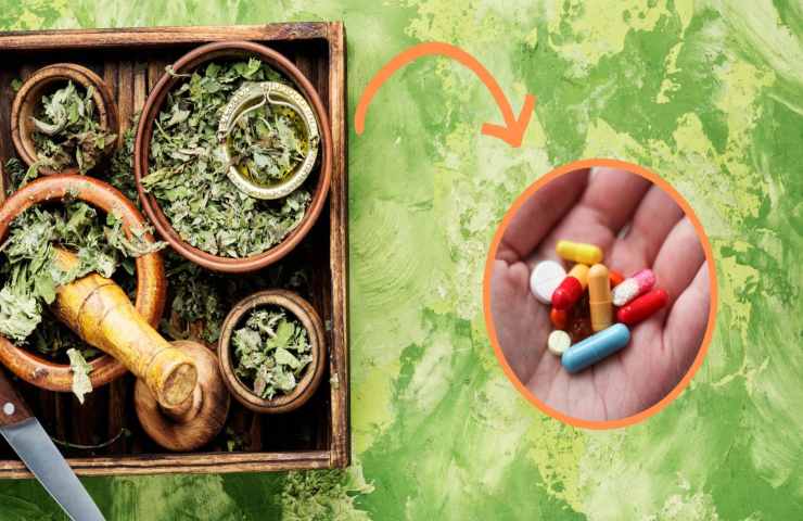 erbe interagiscono farmaci cosa accade